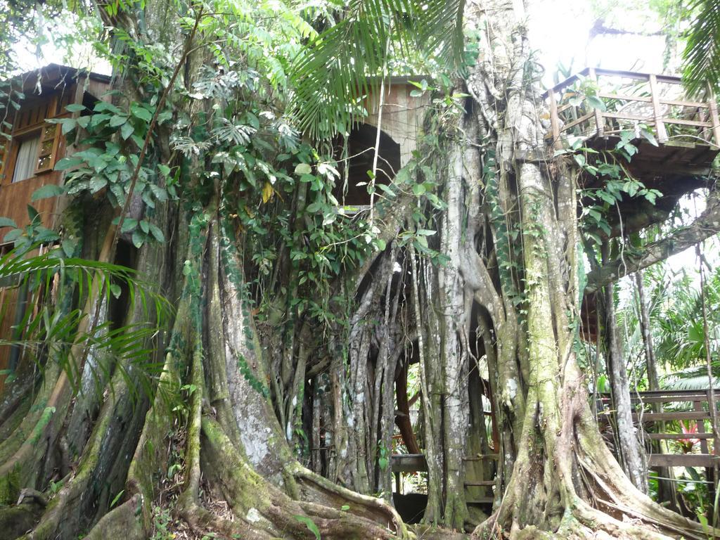 Topos Tree House Cahuita Exterior foto