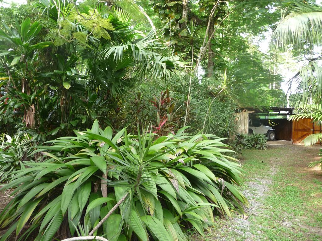 Topos Tree House Cahuita Exterior foto