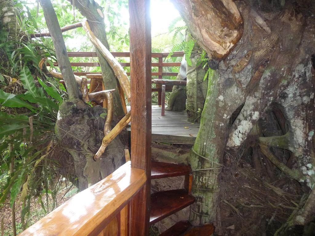 Topos Tree House Cahuita Exterior foto