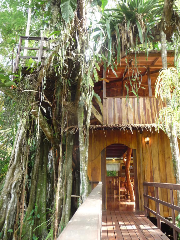 Topos Tree House Cahuita Cameră foto
